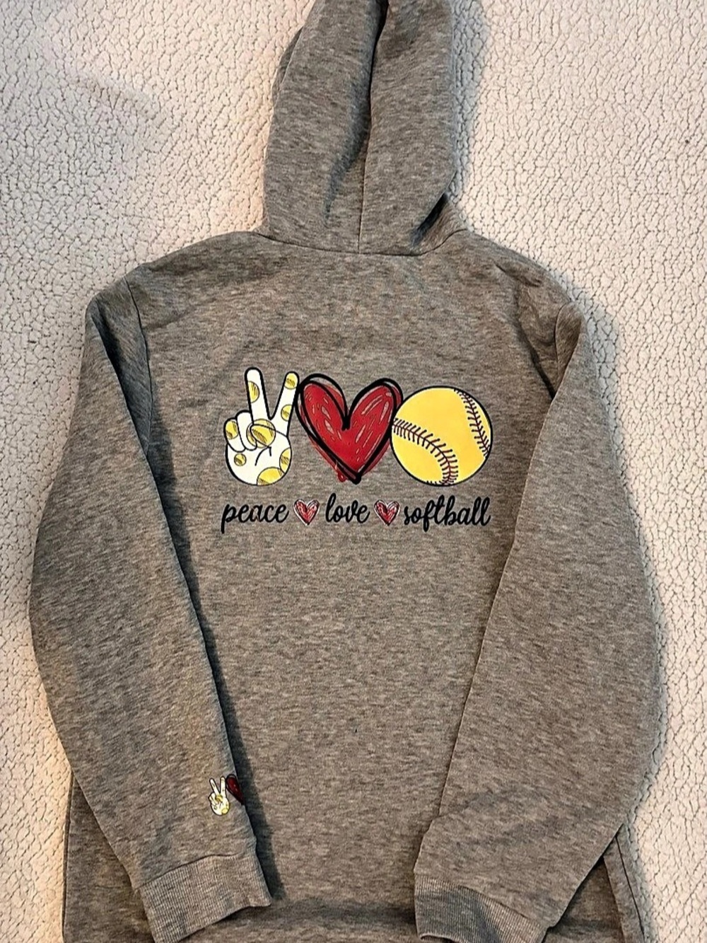 Graphic Hoodie in Gray Like New